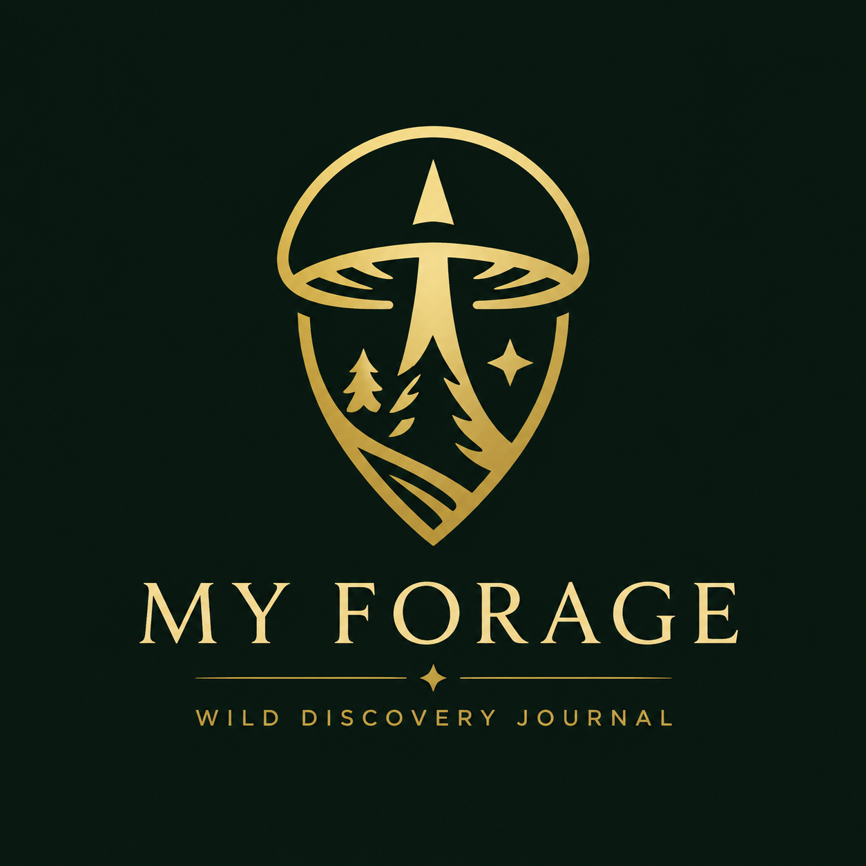 MY FORAGE
